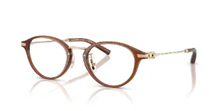 5888 Transparent Brown