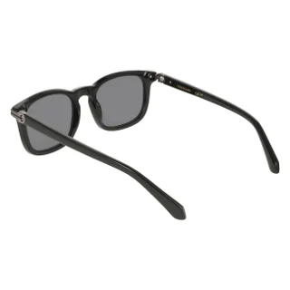 Salvatore Ferragamo Sunglasses SF2120S