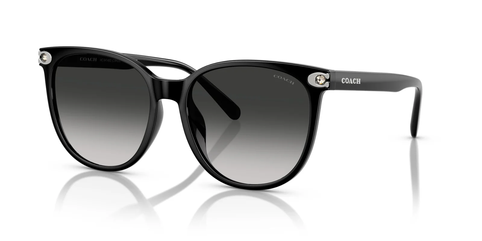Coach Sunglasses HC8414BD