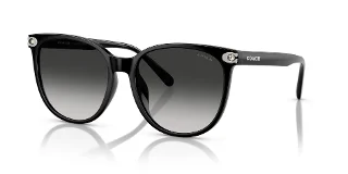 Coach Sunglasses HC8414BD