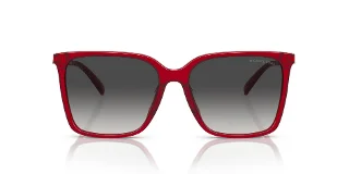 Michael Kors Sunglasses MK2197F