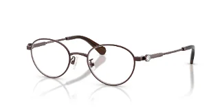 4041 Brown