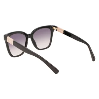Longchamp Sunglasses LO696S