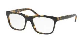 5636 Olive On Spotty