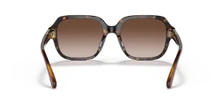 Coach Sunglasses HC8335U