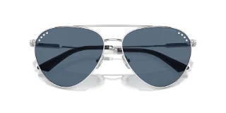 Jimmy Choo Sunglasses JC4002B