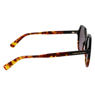 Longchamp Sunglasses LO760S