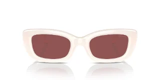 Coach Sunglasses HC8390U