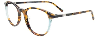 015 Tortoise