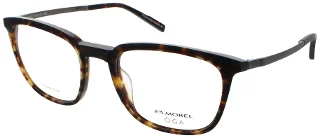 TG08 Tortoise