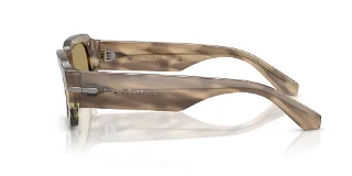 Dolce & Gabbana Sunglasses DG4485F