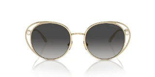 Jimmy Choo Sunglasses JC4003HB