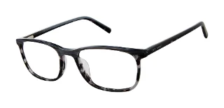 Ted Baker Eyeglasses TFM011