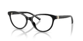 Armani Exchange Eyeglasses AX3138U