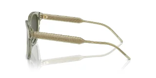 Giorgio Armani Sunglasses AR8210U