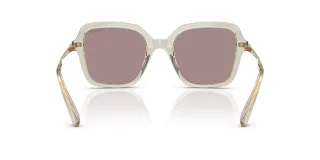 Swarovski Sunglasses SK6040