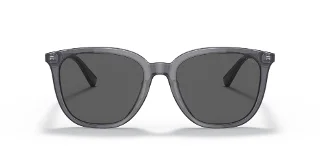 Coach Sunglasses HC8338U
