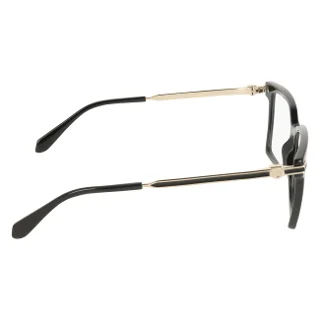 Salvatore Ferragamo Eyeglasses SF3039