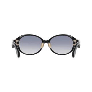 Salvatore Ferragamo Sunglasses SF2091SELB