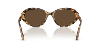 Dolce & Gabbana Sunglasses DG4570