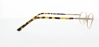 Polo Eyeglasses PP8010
