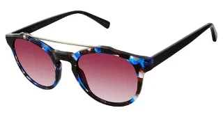 C03 Navy Tortoise