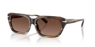 4039T5 Brown Horn