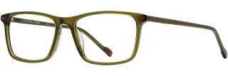 C04 Olive / Rust