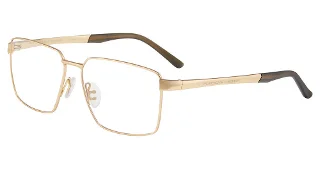 Gold/Olive (B000)