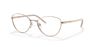 Prada Eyeglasses PR62WV