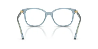 Swarovski Eyeglasses SK2069F