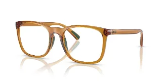 6209 Shiny Transparent Honey Brown