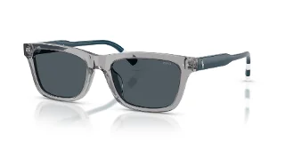 631787 Shiny Transparent Grey