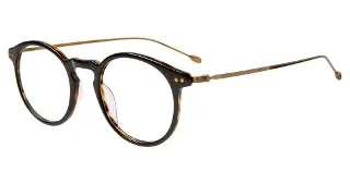 Black Tortoise