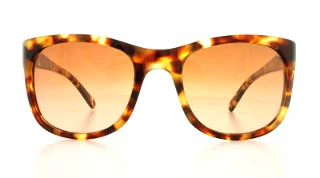 Tory Burch Sunglasses TY7052
