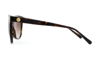 Michael Kors Sunglasses MK2045 Jan