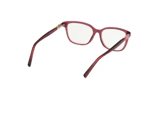Viva Eyeglasses VV50015