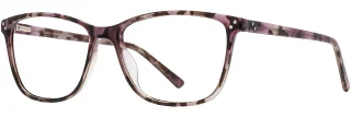 C02 Purple Tortoise