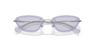 Emporio Armani Sunglasses EA2158