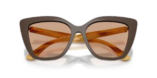 Emporio Armani Sunglasses EA4254U