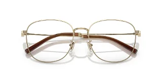 Coach Eyeglasses HC5179D