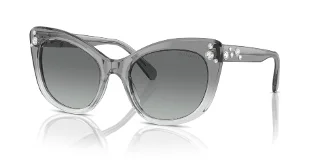 104611 Transparent Dark Grey