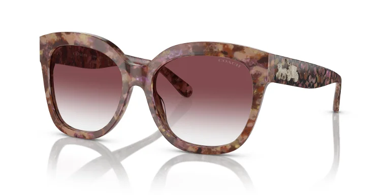 Coach Sunglasses HC8264