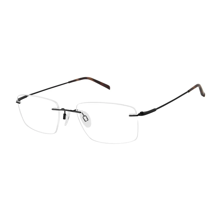 Charmant Eyeglasses 29126F