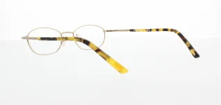 Polo Eyeglasses PP8010