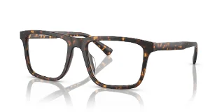 6161 Dark Tortoise