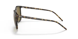 Ray Ban Sunglasses RB4387