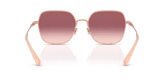 Coach Sunglasses HC7180D