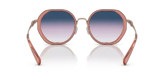 Coach Sunglasses HC7141