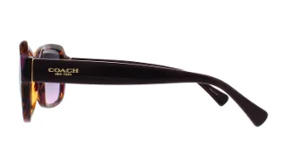 Coach Sunglasses HC8160 L145
